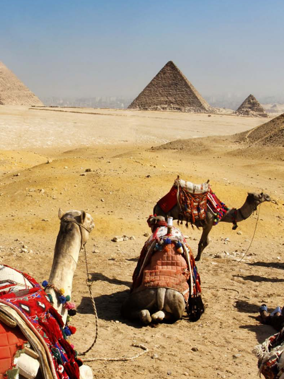 Egypt Travel Guide - Pyramids, Secrets of Coral iPad screenshot 5 - Travel app