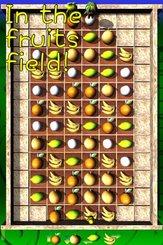 Rover Piyoko In Fruits Field screenshot 3