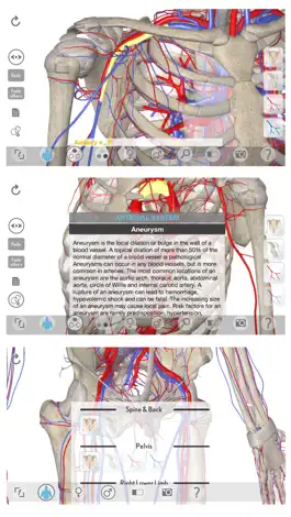 Game screenshot 3D Organon Anatomy - Heart, Arteries, and Veins apk