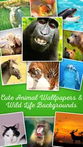 Animals - Cute Animal Wallpapers & Wild Life Backgrounds screenshot #1 for iPhone