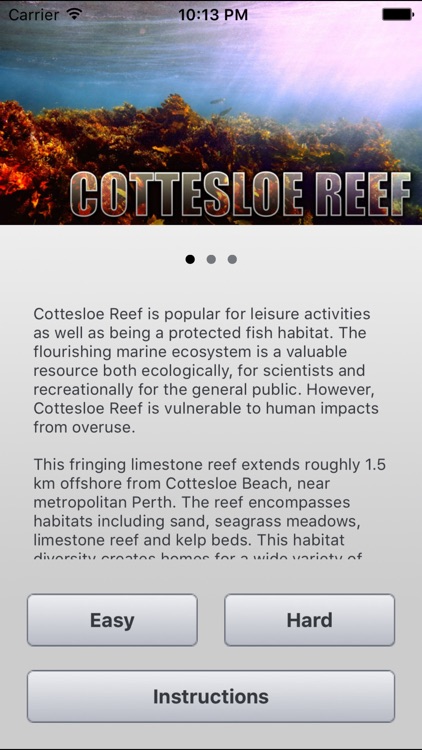 Food Web