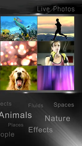 Game screenshot Live Wallpaper Collection - Photo Video HD for Lock Screen mod apk