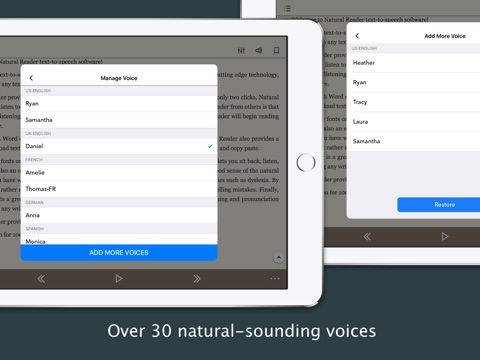 NaturalReader Text to Speech HD Pro screenshot 4