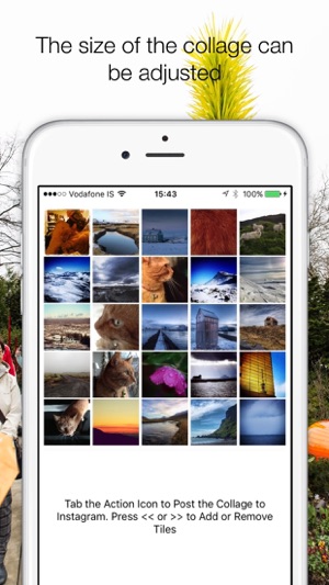 Camaramas Collage Maker(圖2)-速報App