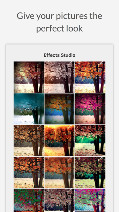 Screenshot #2 pour Effects Studio