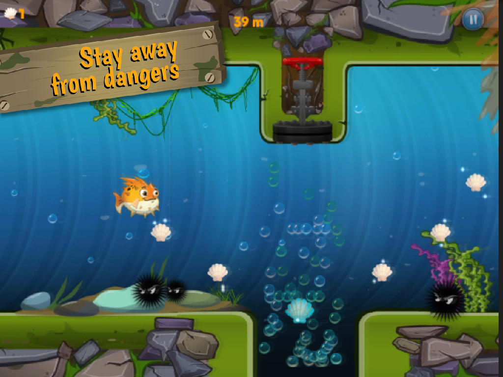 Puff Fish