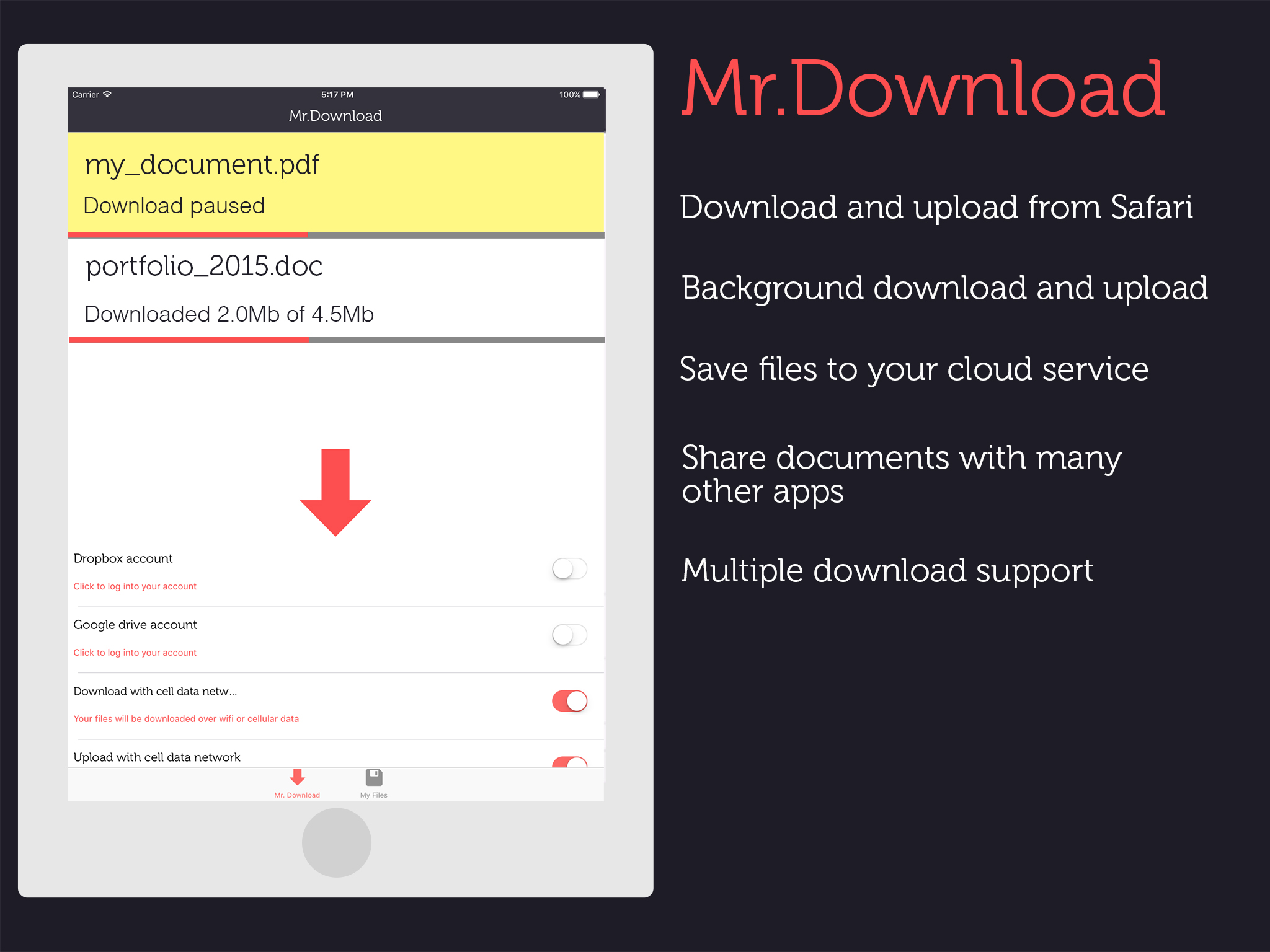 Mr Download screenshot 5