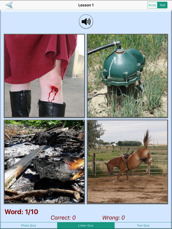 Screenshot #5 pour English Grammar With Photos (Learning & Practice)