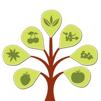 Ref Guide for Ayurvedic Herb Instant Home Remedies Free  PC 용