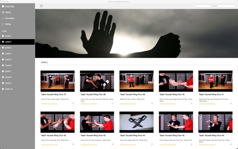Teach Yourself Wing Chun thumbnail 2