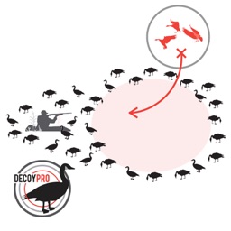 Goose Hunting Diagram Builder-Canada Goose Hunting