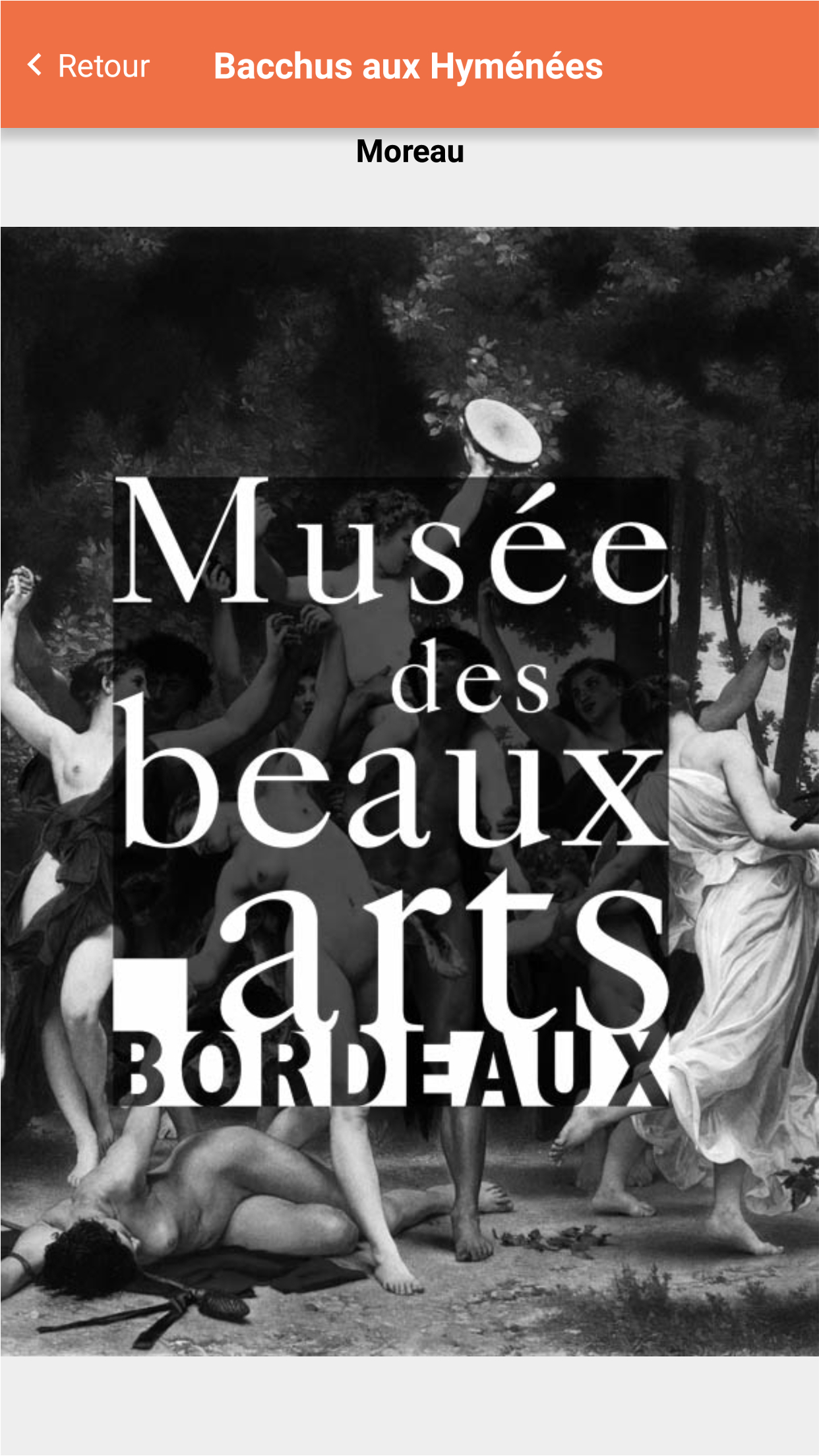 Musée des Beaux Arts de Bordeaux screenshot 3
