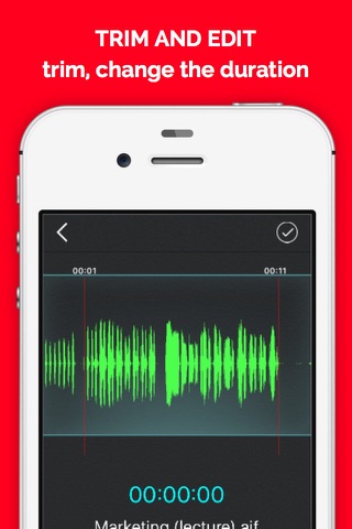 QuickVoiceEx - Voice Recorder, Audio Memos screenshot 2