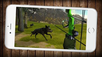 How to cancel & delete USA Archery FPS Hunting Simulator: Wild Animals Hunter & Archery Sport Game from iphone & ipad 2