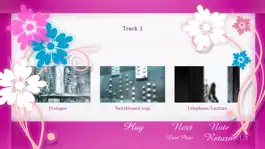 Game screenshot TMPGEnc PGMX PLAYER hack
