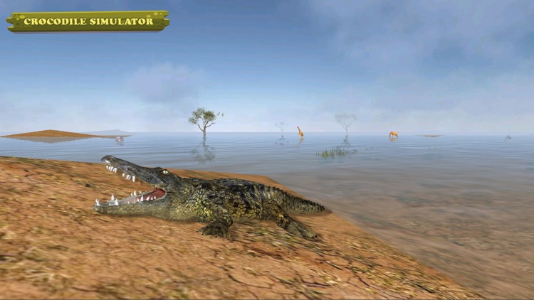 Crocodile Simulator 2015