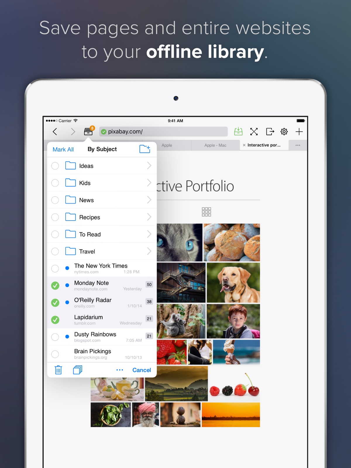 Offline Pages Pro ipad screenshot 1