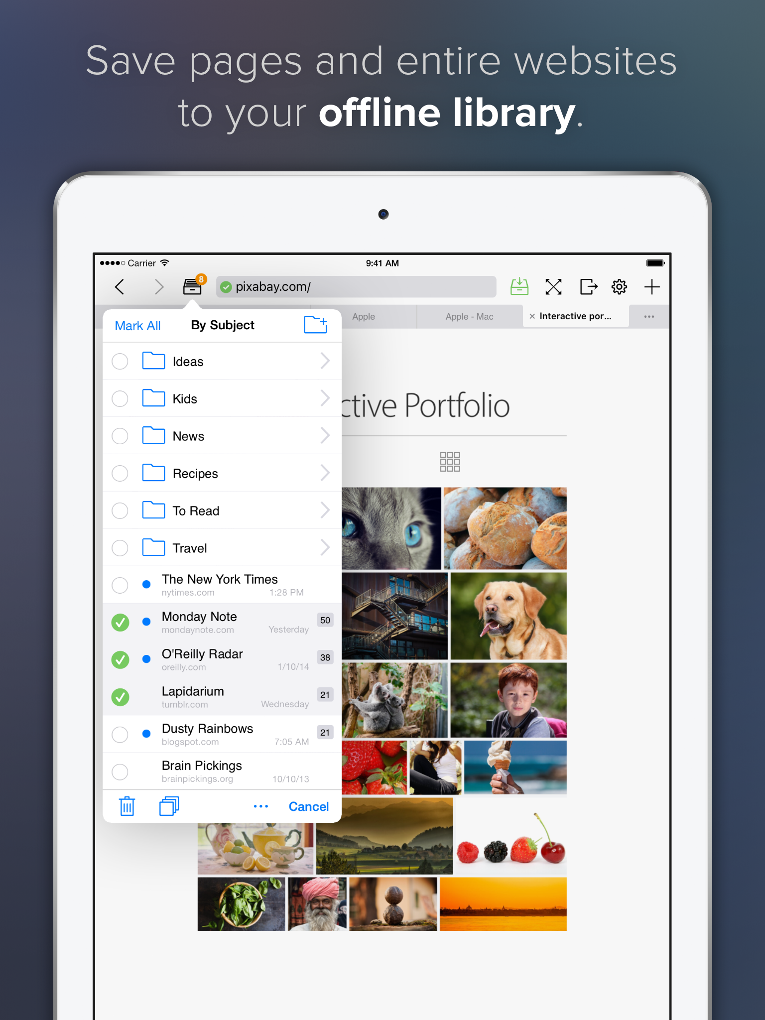 Offline Pages Pro screenshot 6