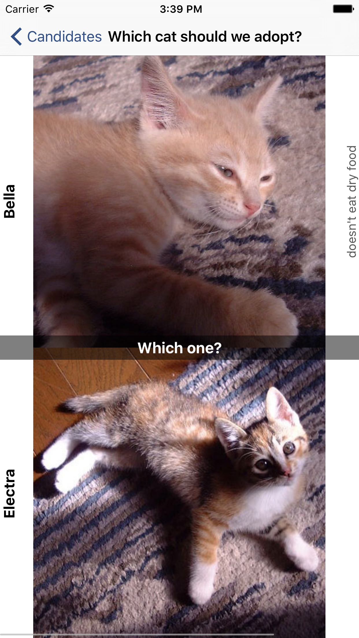 Which one do you prefer? screenshot 4