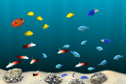 MyReef 3D Aquarium 3 Lite screenshot 3