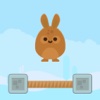 Jumpy Bunny Bounce