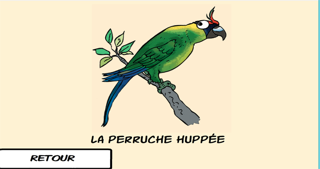 Screenshot #2 pour Les oiseaux du Caillou - NC