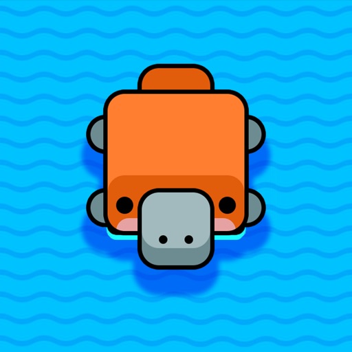 Square Turtle Swim