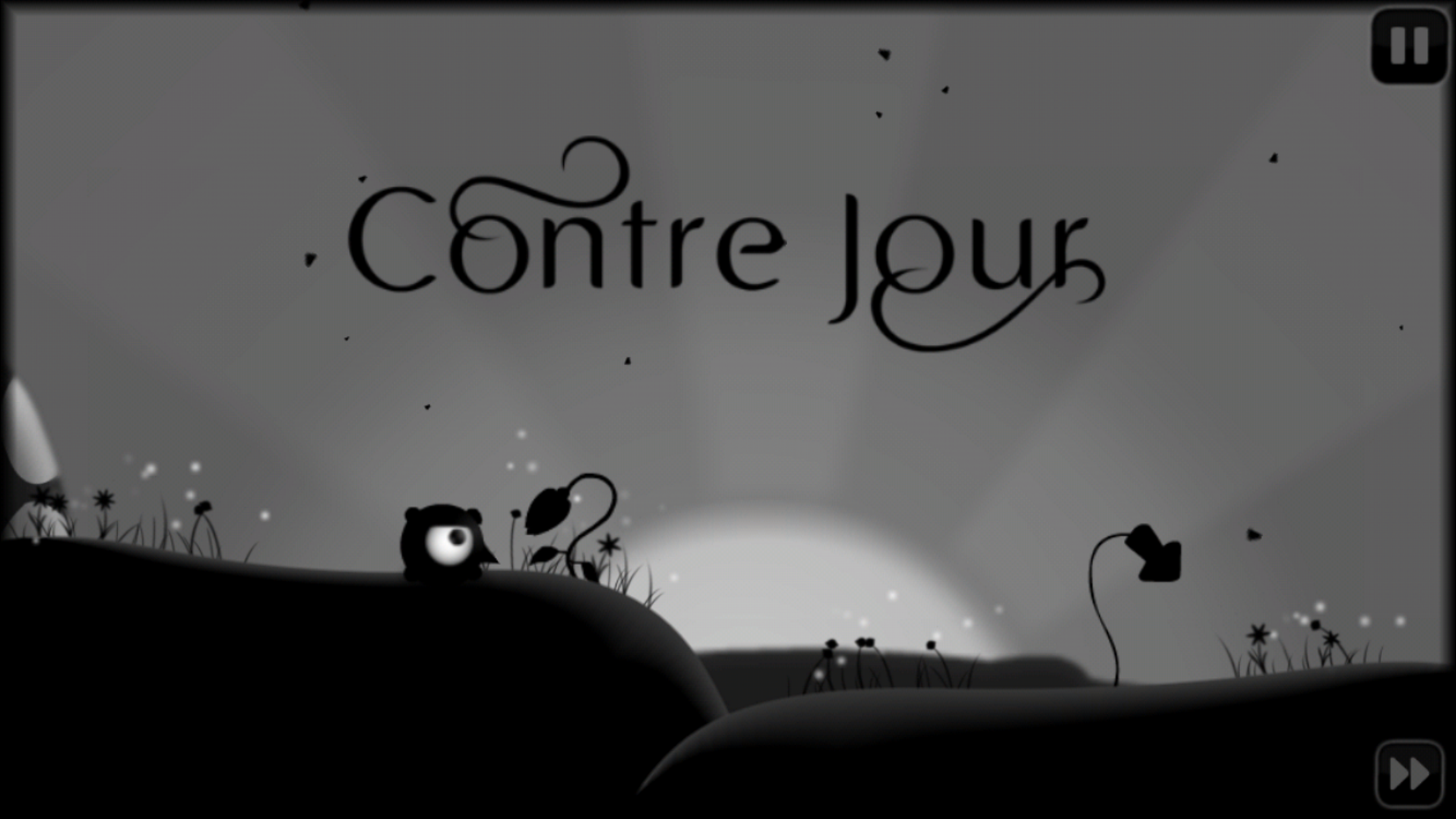 Contre Jour HD