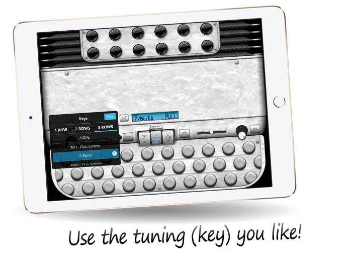 Diatonic Button Accordion Free