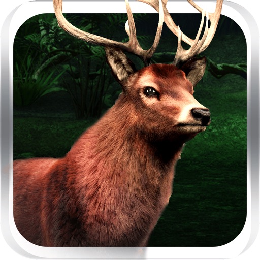 Wild Big Buck Deer Hunt Pro : King of White Tail Hunting Simulator Reloaded icon