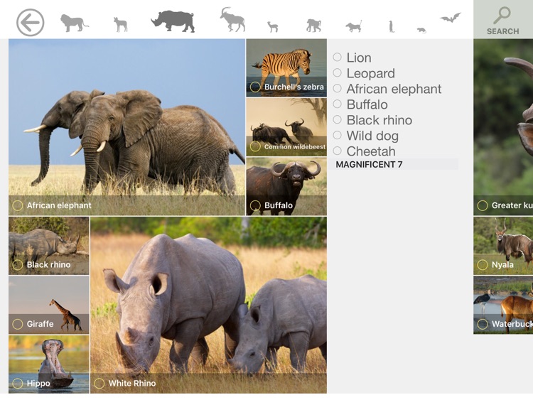 MY SAFARI - Ranger Edition HD