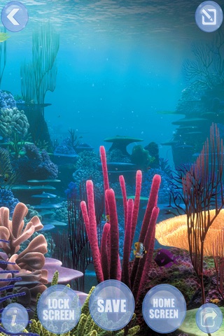 Aquarium HD Wallpapers & Backgrounds – Set Fish Tank Pictures On Your Home Screen screenshot 3