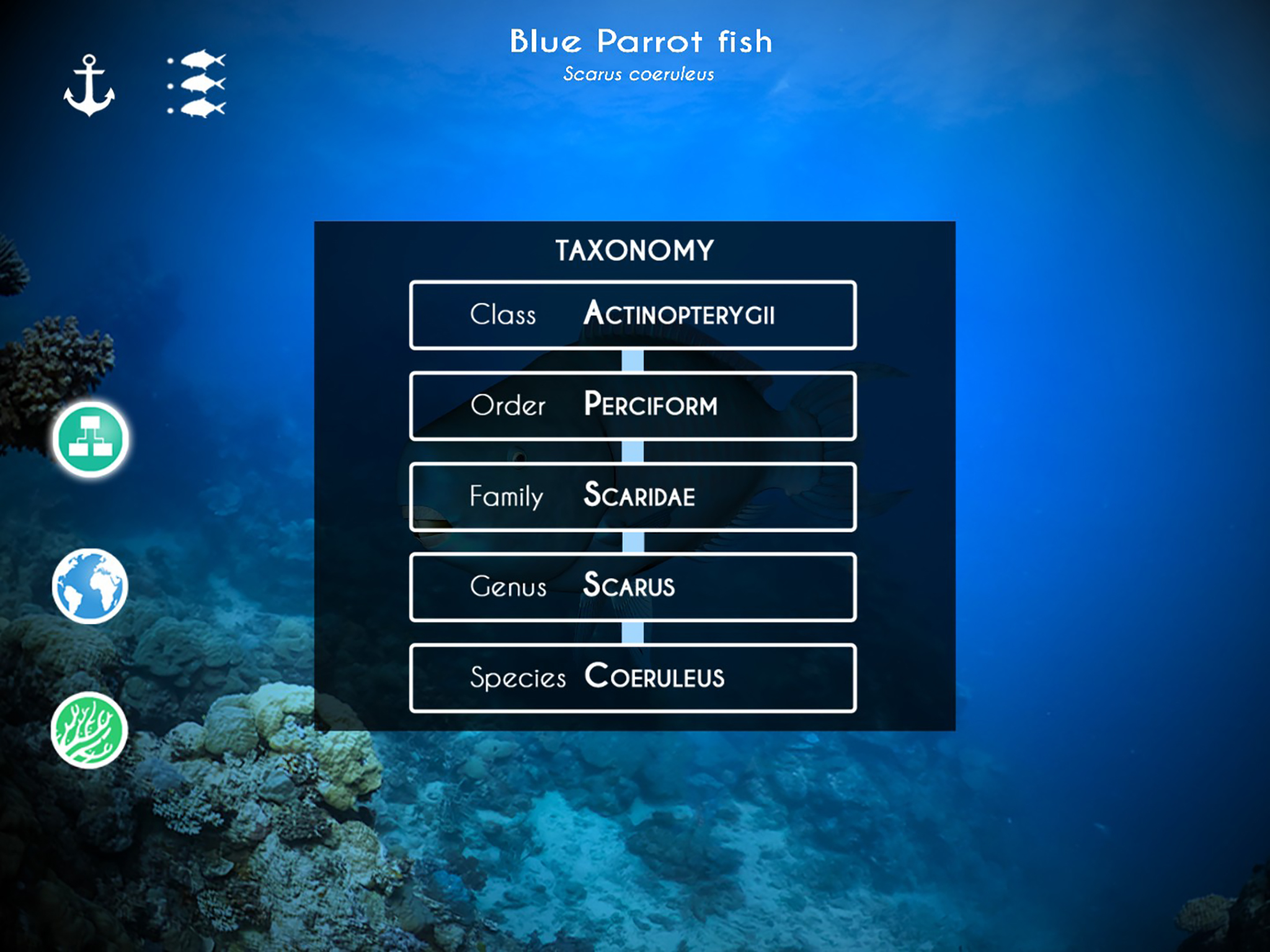My Scuba Experience