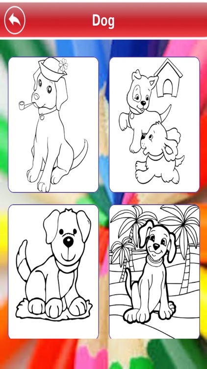 Puppy And Kitty Coloring Book