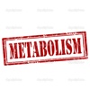 How to Decrease Your Metabolism:Tips and Tutorial