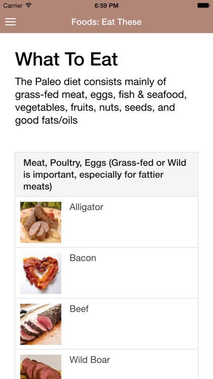 Paleo Diet Guide screenshot-3