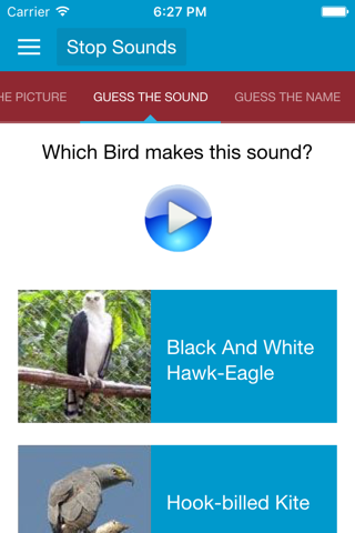 Birds of Prey Sounds - náhled