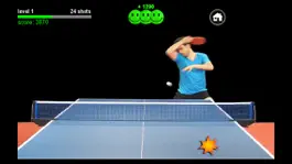 Game screenshot Table Tennis Edge mod apk