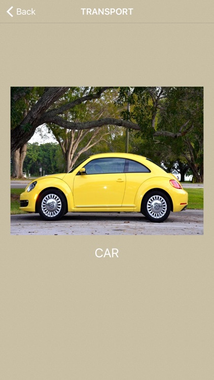 Kids World - Flash Cards to learn for babies and toddlers