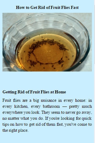 How To Get Rid Of Fruit Flies screenshot 3