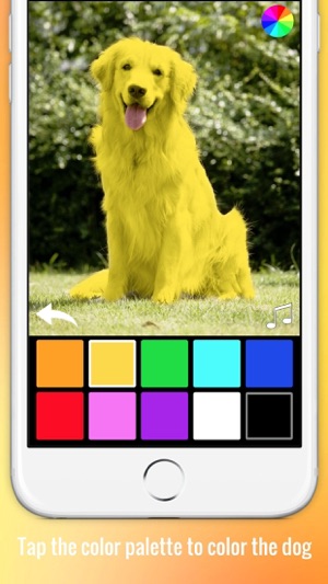 Color Zoo - Learn colors with animals(圖2)-速報App