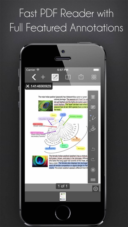 Office Documents: Word Processor, PDF Reader, PDF Scanner, Media Player