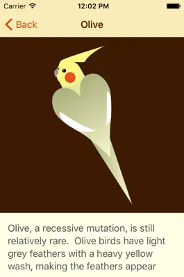 Game screenshot Cockatiel Color Palette apk