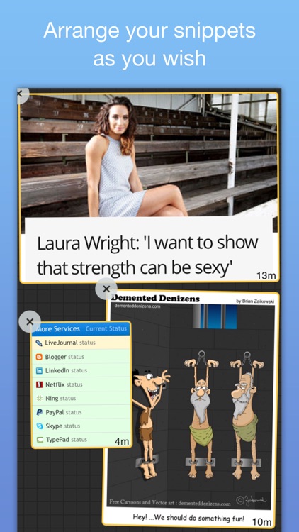 NetSnips screenshot-4