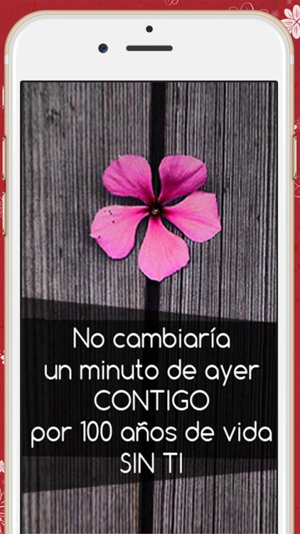 Love quotes in spanish  Romantic pictures with messages to conquer - Premium screenshot-3