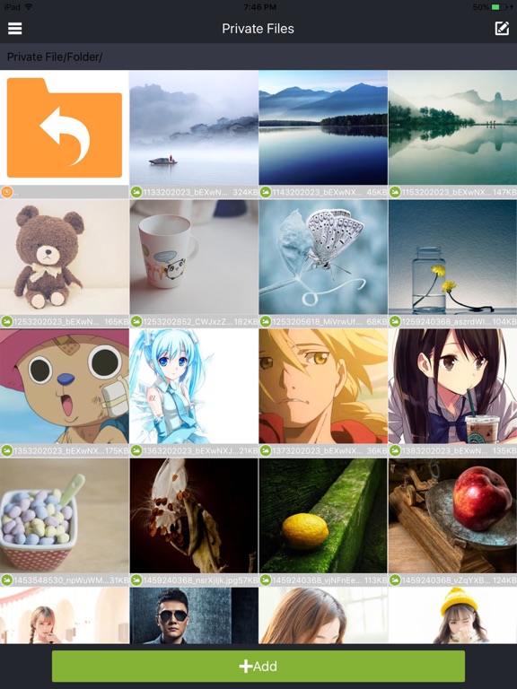 Private File iPad screenshot