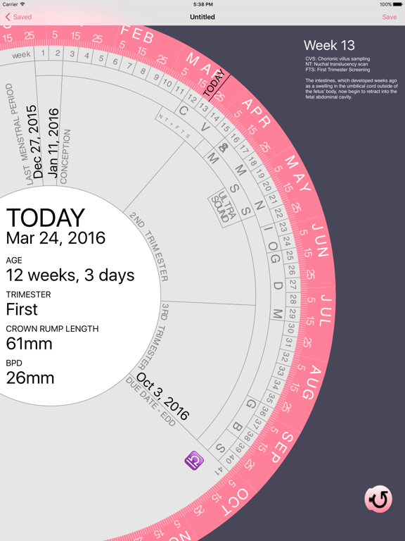 Screenshot #4 pour Pregnancy Wheel