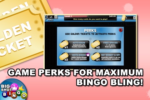 Big Shot Bingo screenshot 4