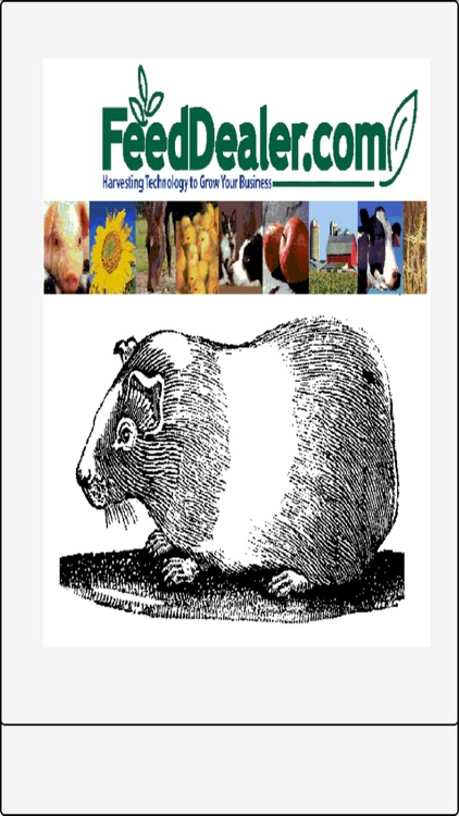 Guinea Pig Breeding Calculator