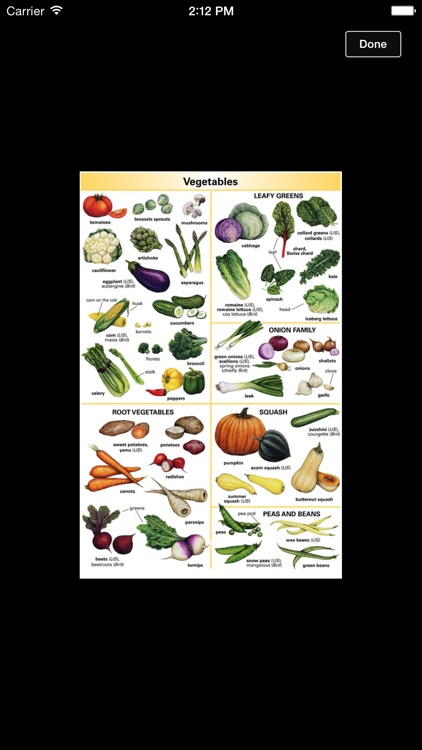 Learner's Dictionary - English screenshot-4